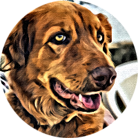 Edwin