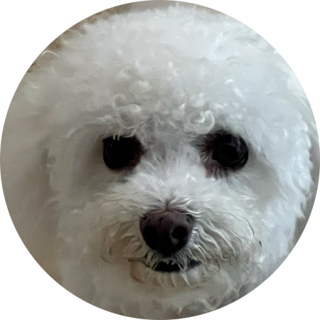Maggie