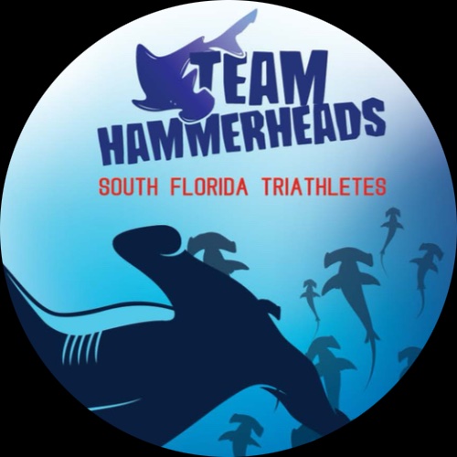 Team Hammerheads