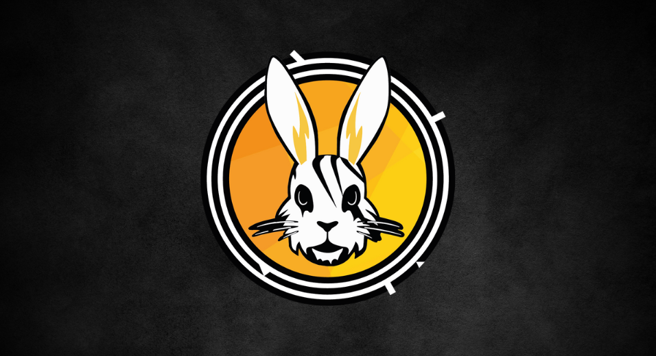 Hire Professional Running Coaches | RunAdic Rabbits for Personalized ...